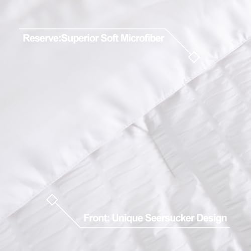 01 - White