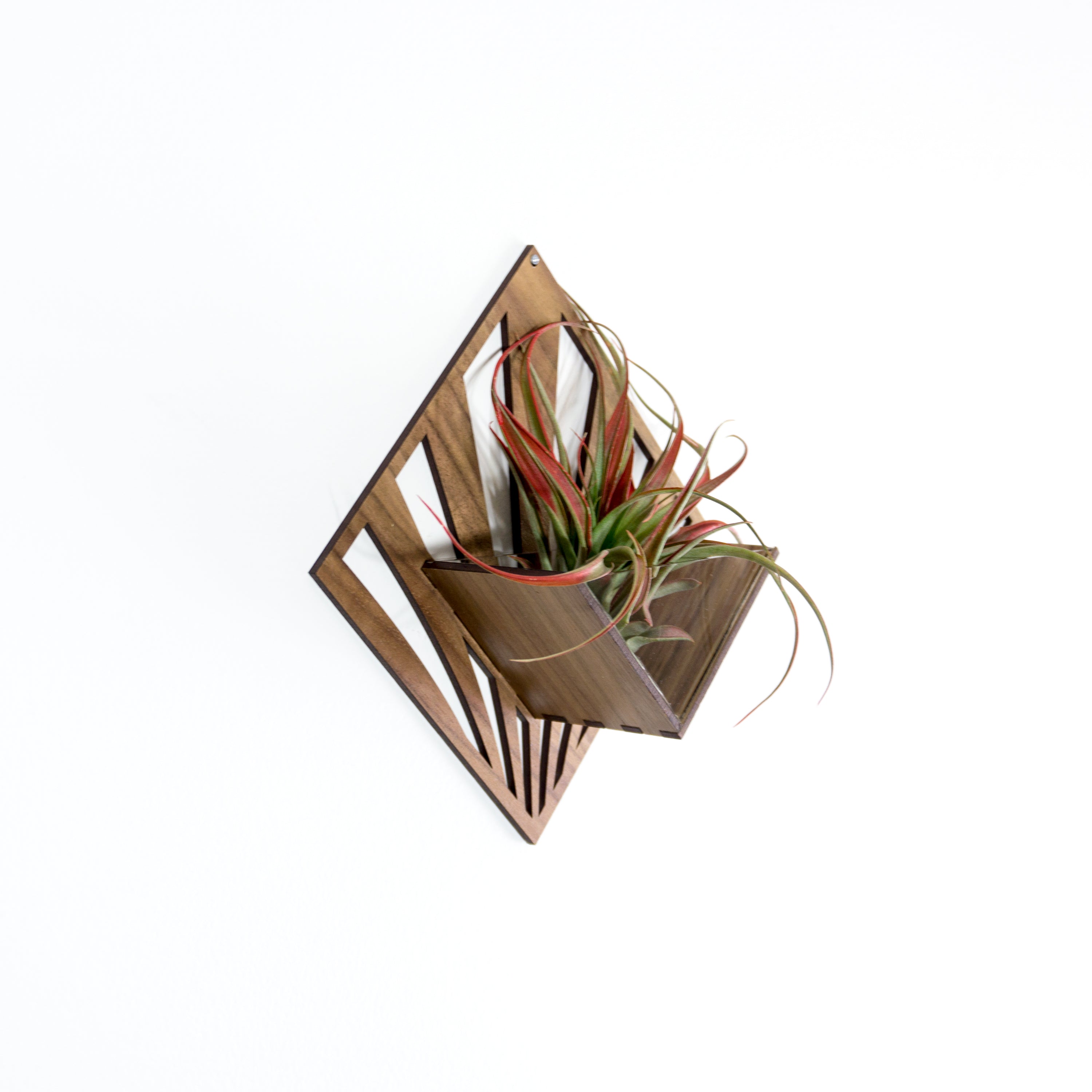 Handmade Wooden Quadrate Wall Planter Set of 2 - Air Plant Holder & Mounted Hanger Display for Tillandsia | Rustic Home Decor, Unique Plant Lover Gift Idea for Living Room, Bedroom or Office Decor