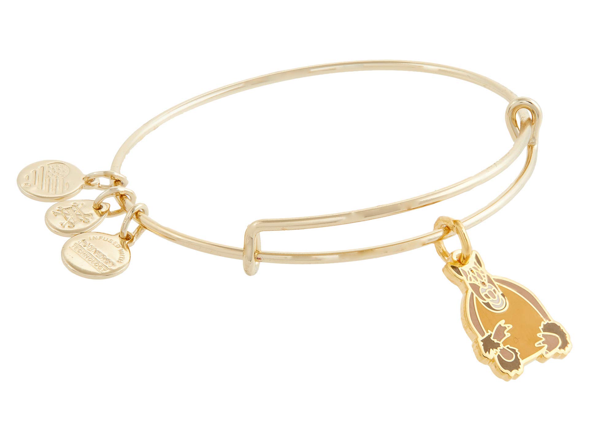 Alex and Ani FRIENDS™ Charm Bracelet for Women - Adjustable Bangle with Inspirational Message - Perfect Gift for Best Friends, Sister, or Loved Ones | Wear for Special Occasions, Daily Outfits, and Meaningful Connections