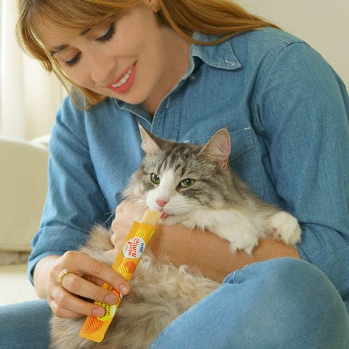 Inaba Churu Pops Chicken Recipe Cat Treats - Grain-Free, Irresistible Soft Puree Snacks for Cats - Perfect for Training, Bonding & Hydration