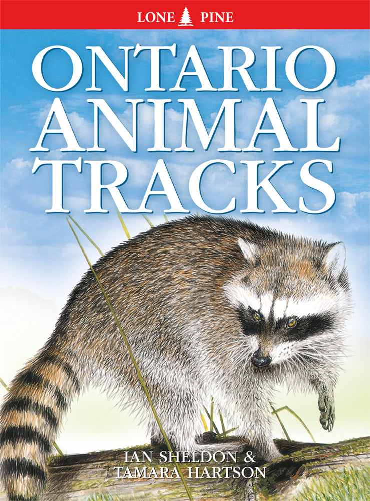 Lone Pine Ontario Animal Tracks - Authentic Wildlife Footprint Identification Guide for Hikers, Campers & Nature Enthusiasts | Perfect for Outdoor Adventures, Nature Studies & Wildlife Tracking