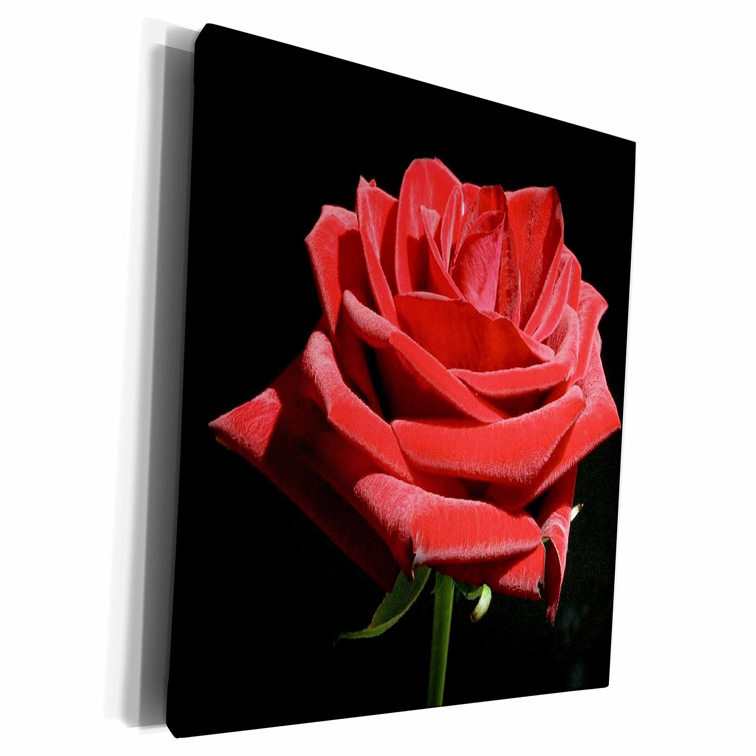 Premium Museum-Grade Canvas Wrap - Stunning Red Rose Flower Art Print for Home & Office Decor