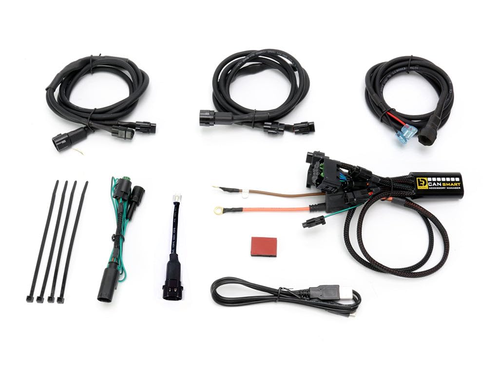 DENALI CANsmart Controller GEN II for BMW R1200 Hex Head Series Motorcycles - Enhanced Performance & Plug-and-Play Installation - Perfect for Touring, Commuting & Custom Upgrades