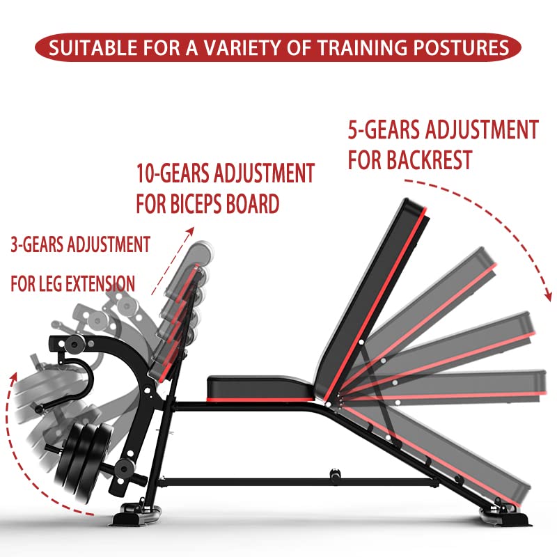EASY BIG Adjustable Weight Bench with Leg Extension - Multi-Position Strength Training Bench for Dumbbell Exercises, Ab Workouts & Home Gym (Ideal for Full-Body Workouts & Small Spaces)