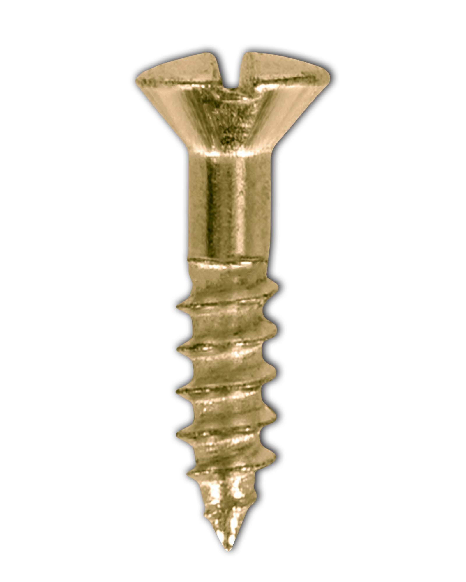 Premium #12 x 3/4