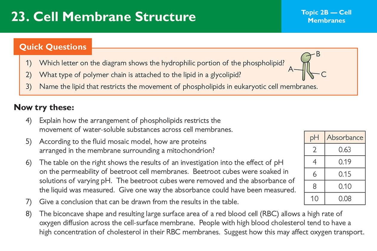 A-Level Biology AQA Revision Question Cards for 2025 & 2026 Exams | CGP AQA A-Level Biology Study Guide | Perfect for Exam Prep & Self-Study
