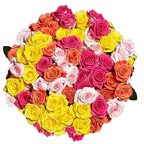 GlobalRose 14 Dozens Fresh Cut Roses - Assorted Colors - Long Stem Roses for Birthday Gifts, Wedding Bouquets & Anniversary Decor - Perfect for Romantic Surprises, Table Centerpieces & Special Occasions