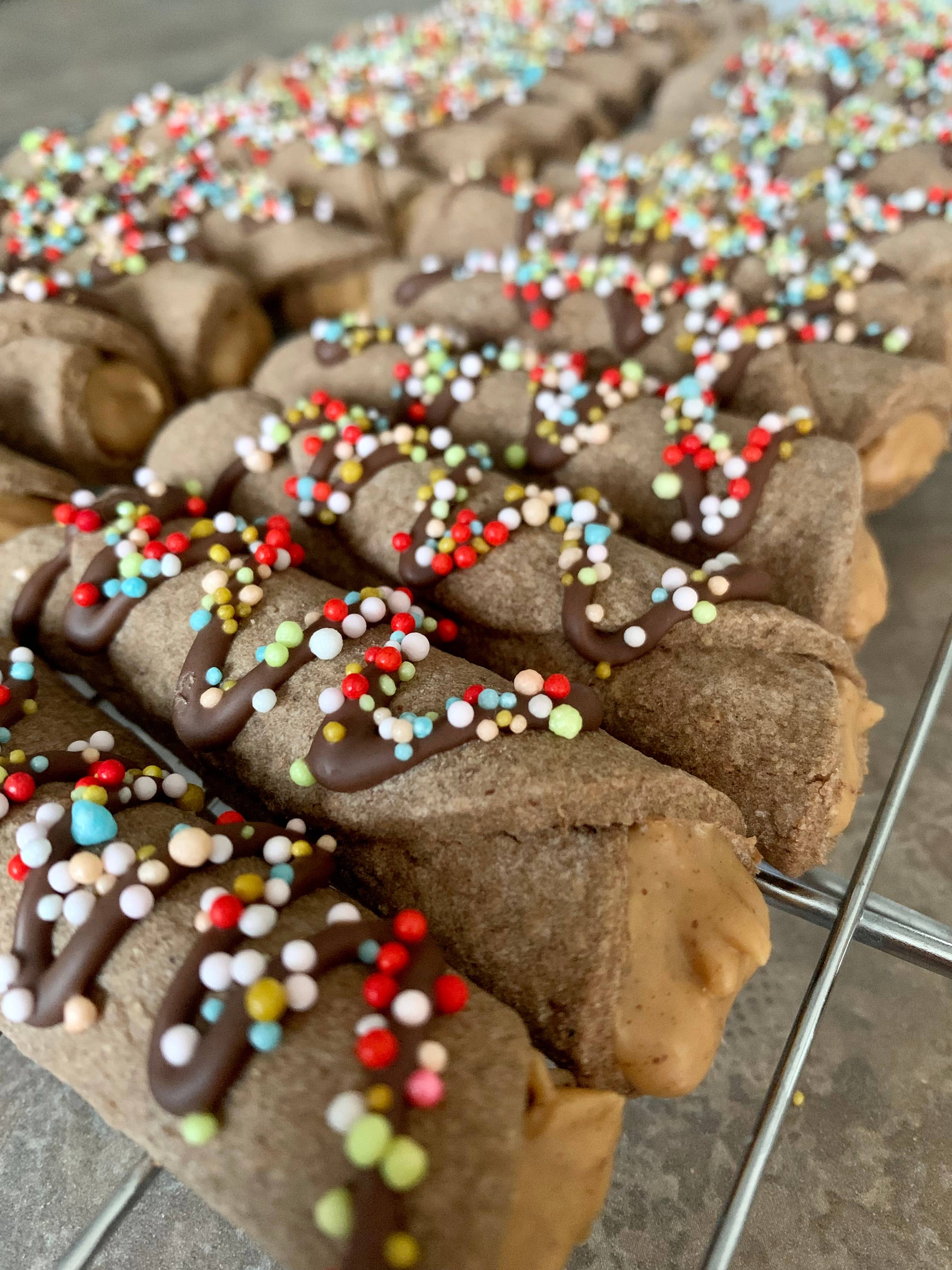Organic Carob & Peanut Butter Dog Treats - Healthy Puppy Snacks for Training & Rewards | All-Natural, Grain-Free Dog Biscuits for Small & Large Breeds | Perfect for Training, Chewing, and Dental Health