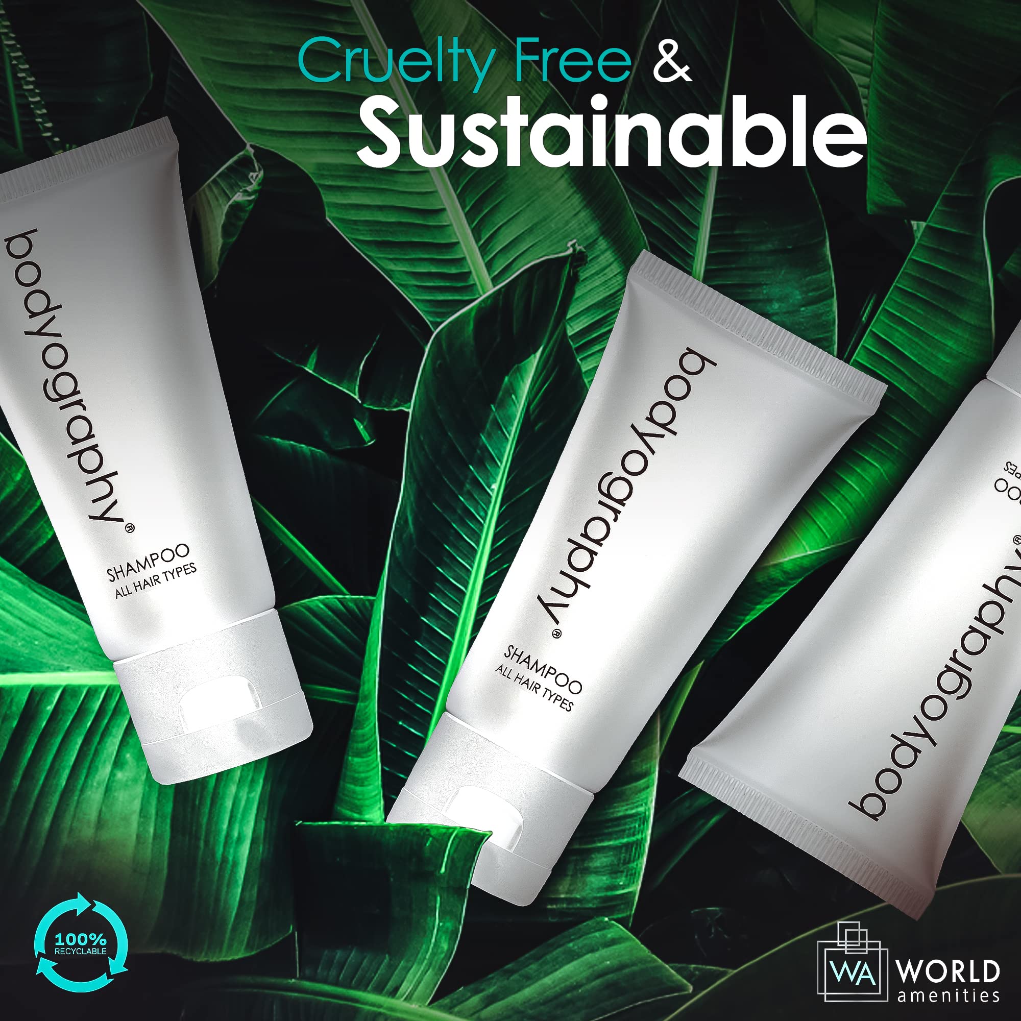 Bodyography Blanc Bulk Shampoo - 300 Count Travel Size (1.4oz) | Vanilla White Tea Scent | Eco-Friendly Recyclable Flip-Top Tubes - Perfect for Hotels, Gyms, Travel & Hospitality Amenities