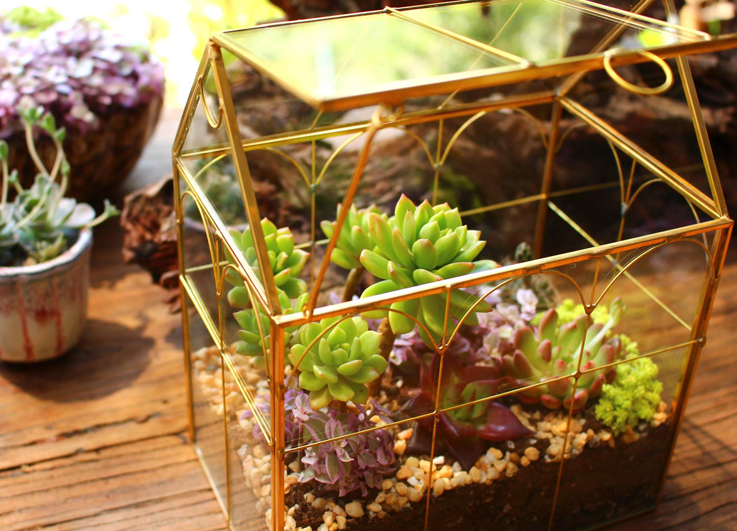 Glass Geometric Plant Terrarium for Succulents & Air Plants - Home, Office & Garden Decor (Gold House) | Perfect for Indoor Greenery, Wedding Centerpieces & Modern Interior Design