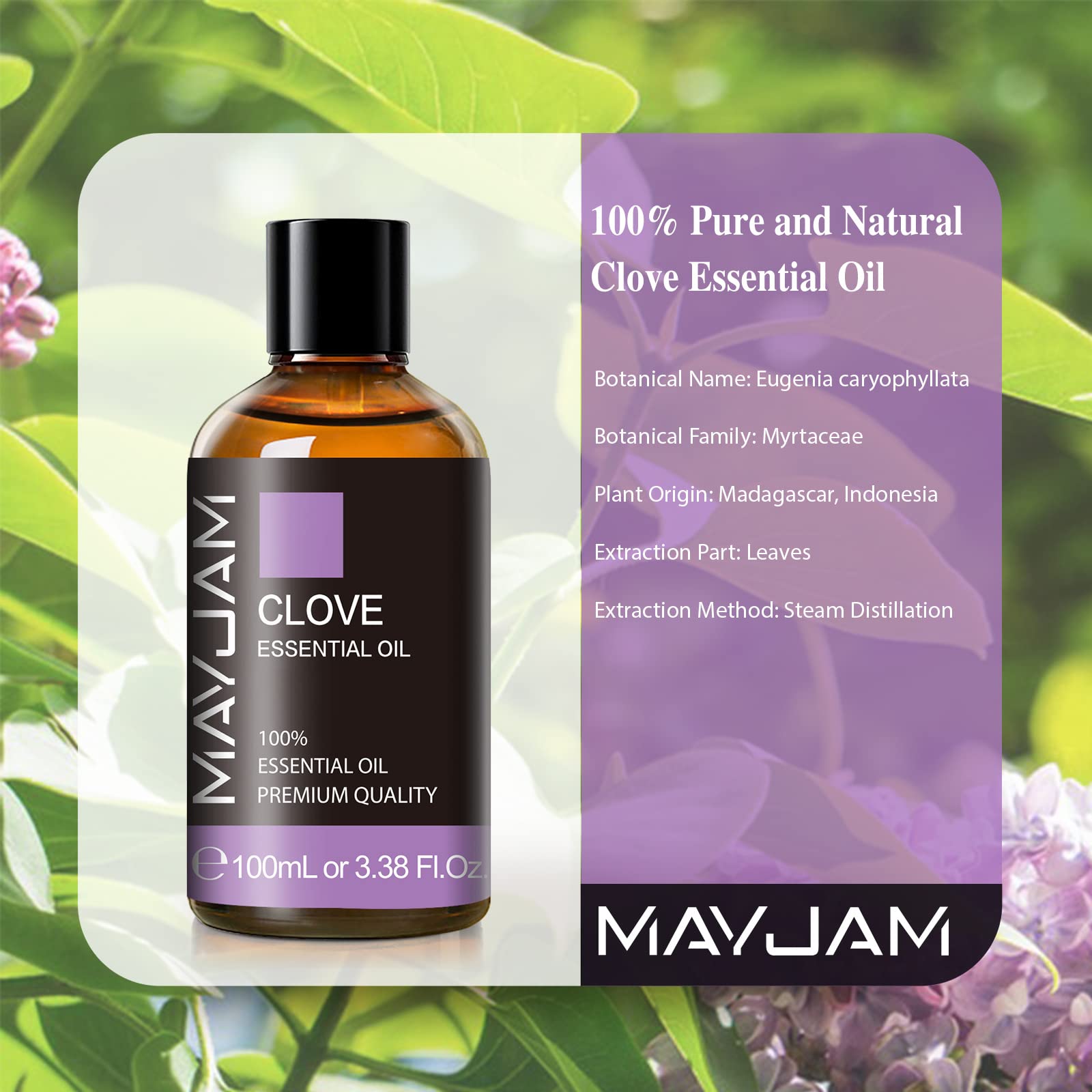 MAYJAM Pure Clove Essential Oil - 3.38 Fl Oz (100ml) Large Bottle for Aromatherapy, Diffusers, DIY Candle & Soap Making | Relaxing Massage Oil & Natural Home Fragrance