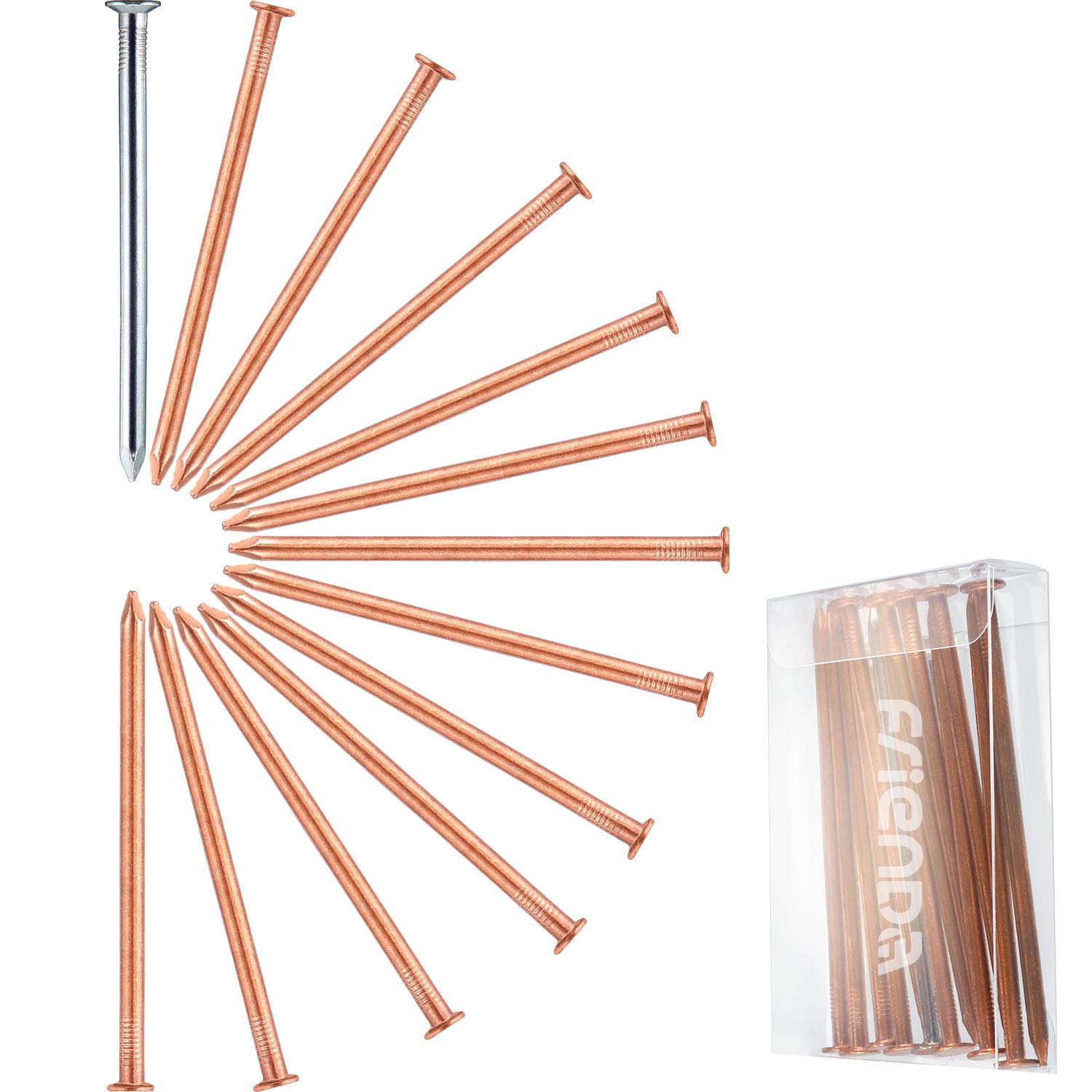 12 Pack 4 Inch (100mm) Long Copper Nails for Tree Killing & Stump Removal - Includes 1 Steel Nail & Storage Box - Ideal for Arborists, Gardeners, and DIY Tree Removal Projects