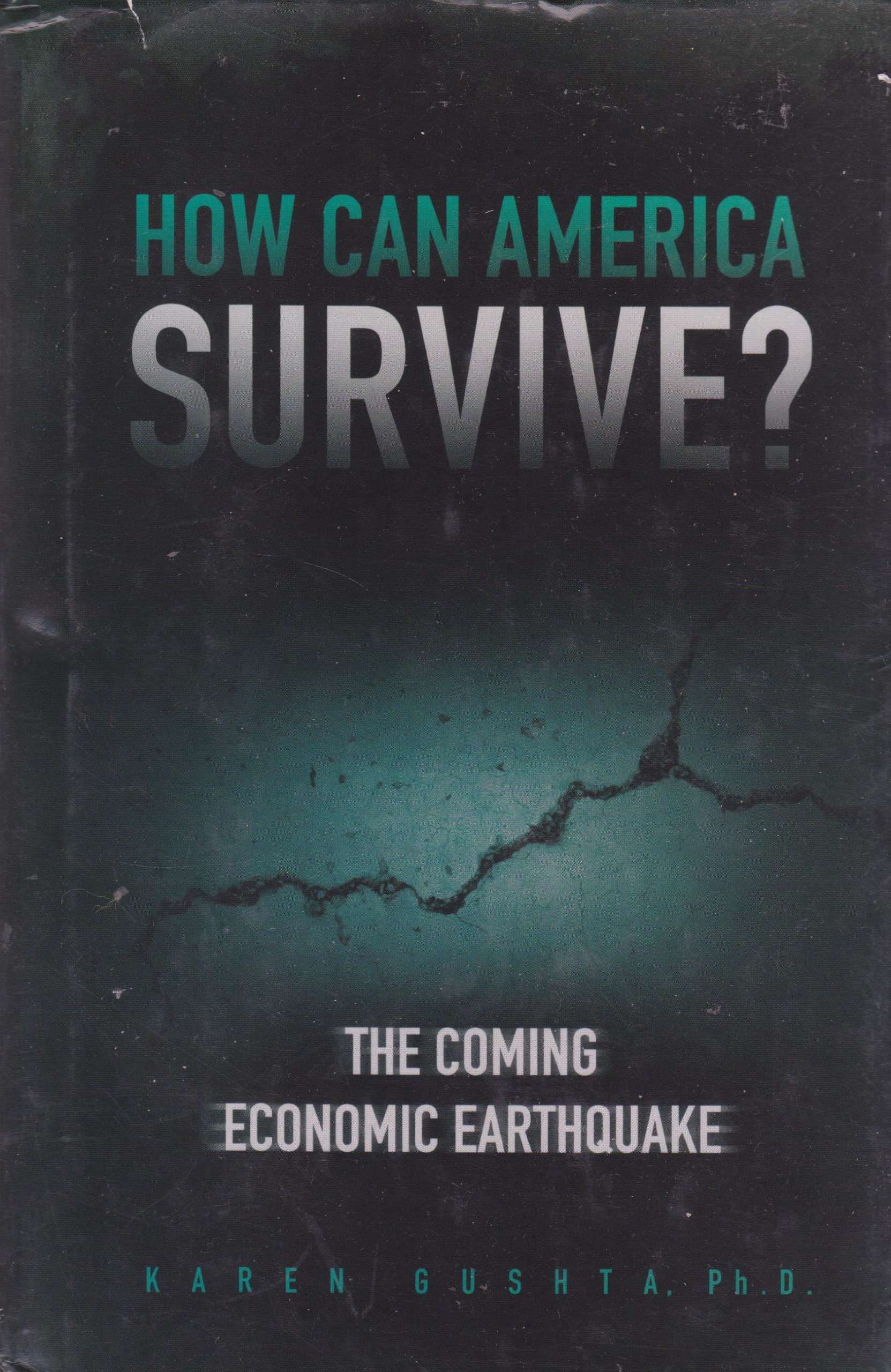 America's Economic Survival Guide: Preparing for the Coming Financial Crisis - Essential Strategies for Businesses, Families, and Investors