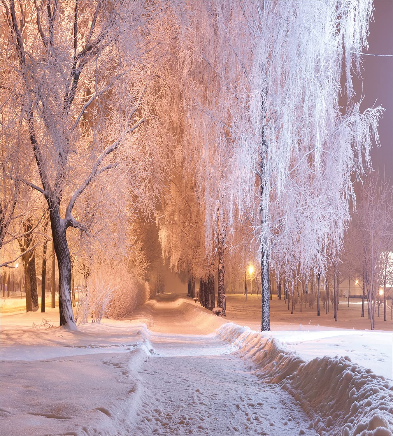 Ambesonne Winter Duvet Cover Set - Frozen Trees & Snowy Road Landscape Photography Print Bedding - 2 Duvet Covers & 4 Pillowcases - 2 Pack California King Size - Salmon White - Cozy Winter Bedroom Decor for Cold Nights