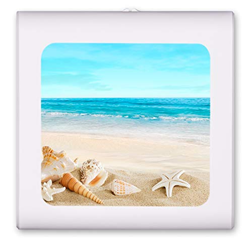 Seashells on the Beach