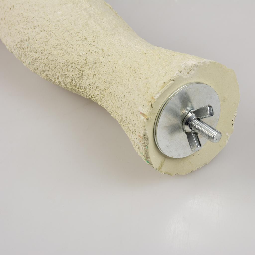 DUVO PLUS Cement White Bird Perch - Natural Wood Perch for Parrots & Small Birds (XS/S/M Sizes) - Perfect for Bird Cages, Aviaries & Play Gyms