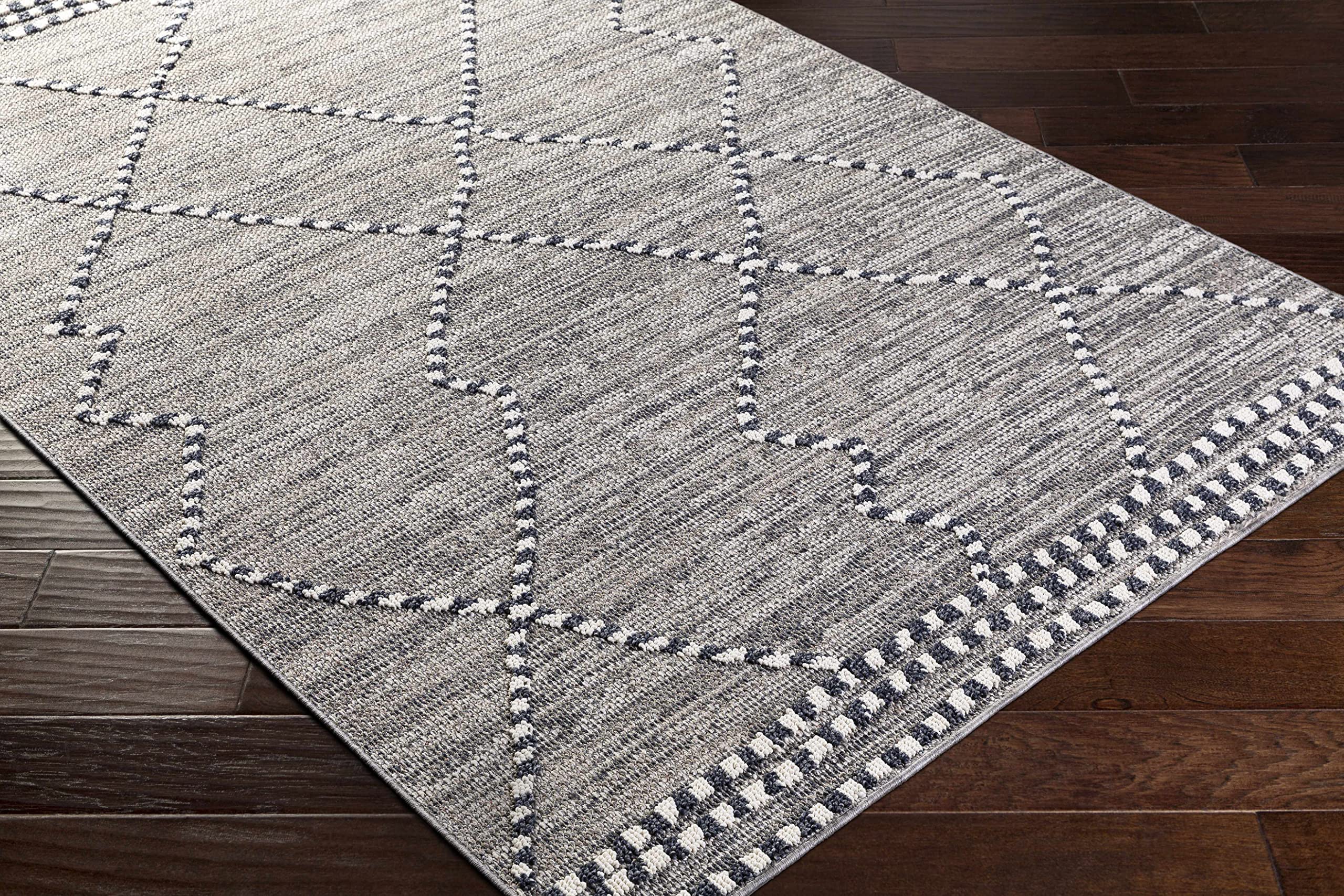 Hauteloom Cheverly Bohemian Transitional Area Rug 5'3