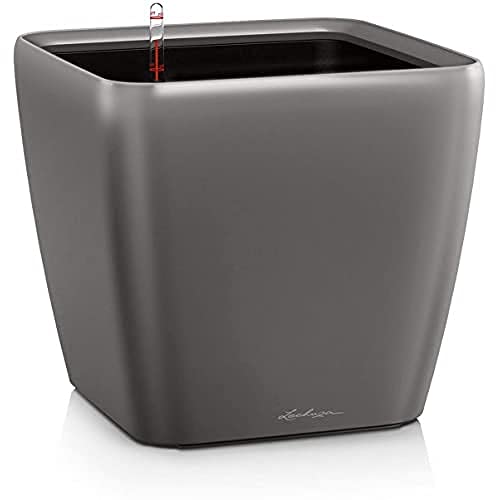 Anthracite Metallic