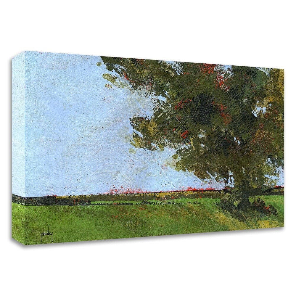 Autumn Oak and Empty Fields by Paul Bailey - Premium Canvas Wall Art Print, Ready to Hang - Perfect for Living Room, Bedroom & Office Decor