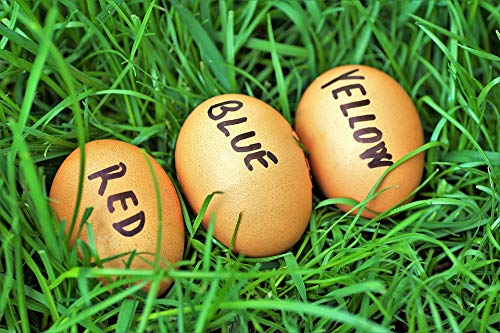 20x30 Inch Easter Eggs Colorful Laminated Poster - Vibrant Home Decor for Easter, Spring & Holiday Celebrations - Perfect for Wall Art, Party Decor, Gifts & Frame Displays