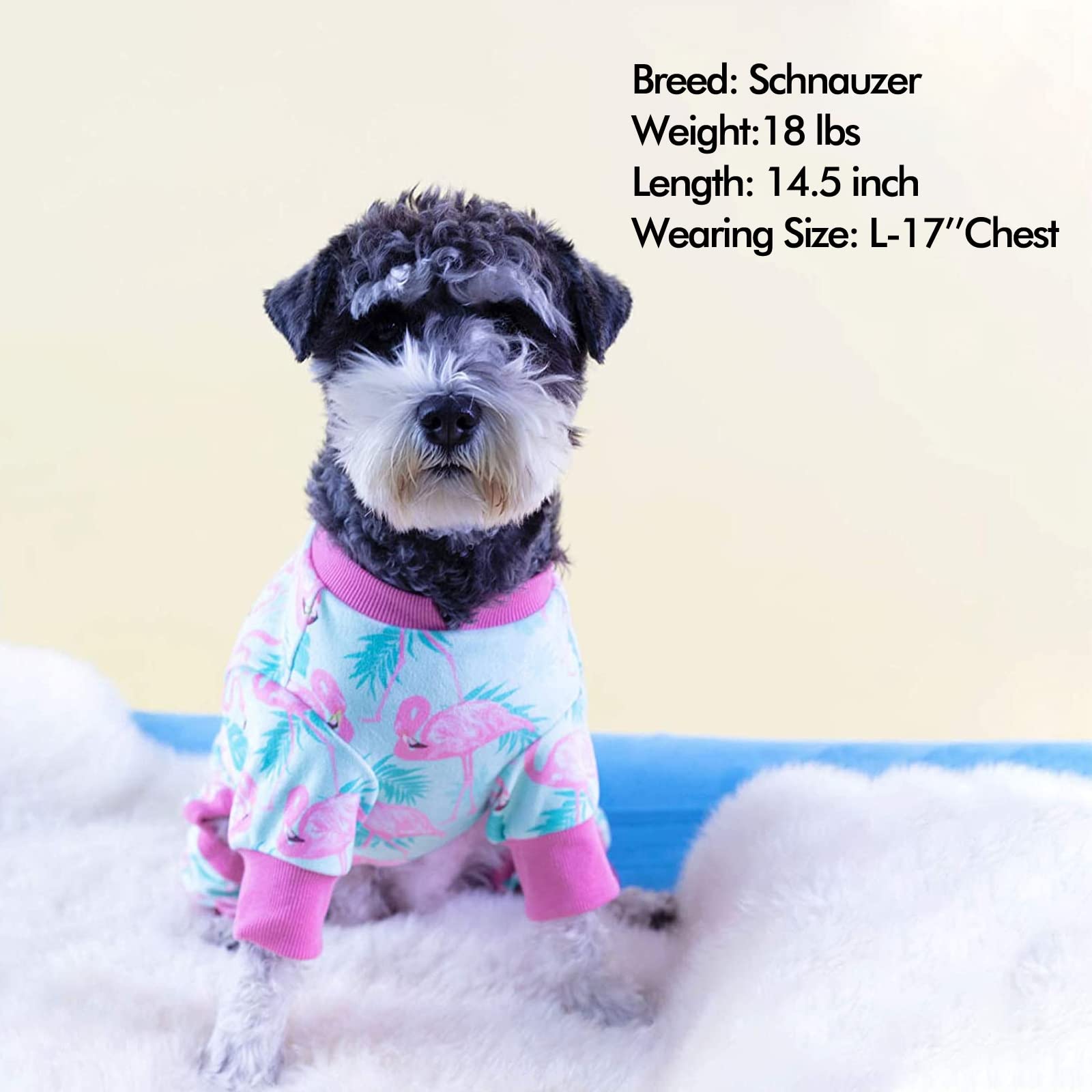 KYEESE Flamingo Dog Pajamas - Soft Velvet Surgery Recovery Suit for Dogs & Cats - Post-Surgical Onesie, Cozy Pet Coat & Body Suit - Perfect for After Surgery Care, Winter Warmth & Costume Parties