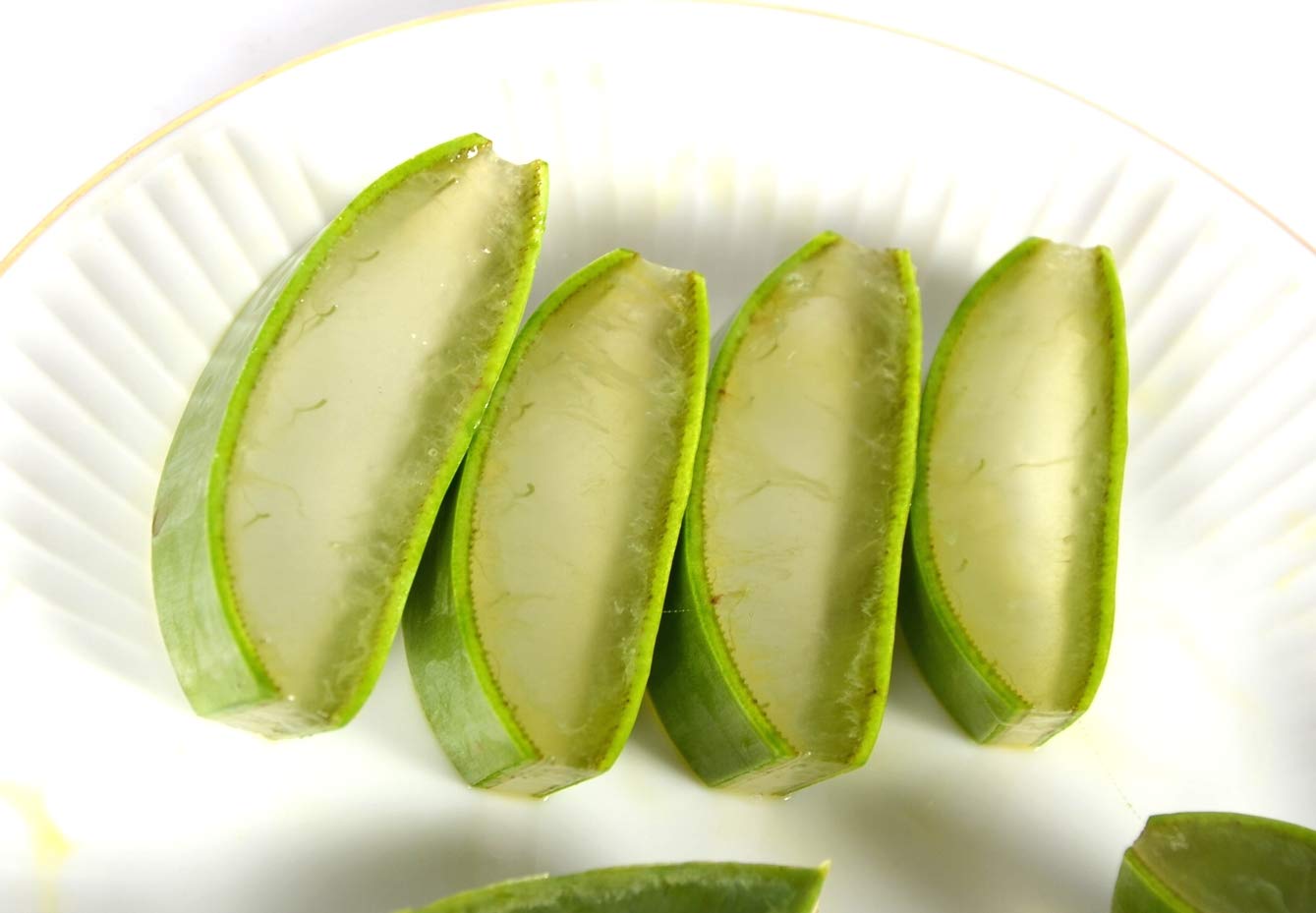 3 Pack Premium Organic Aloe Vera Leaves (Barbadensis Miller) for Skin Care, Hair Treatment & Natural Remedies