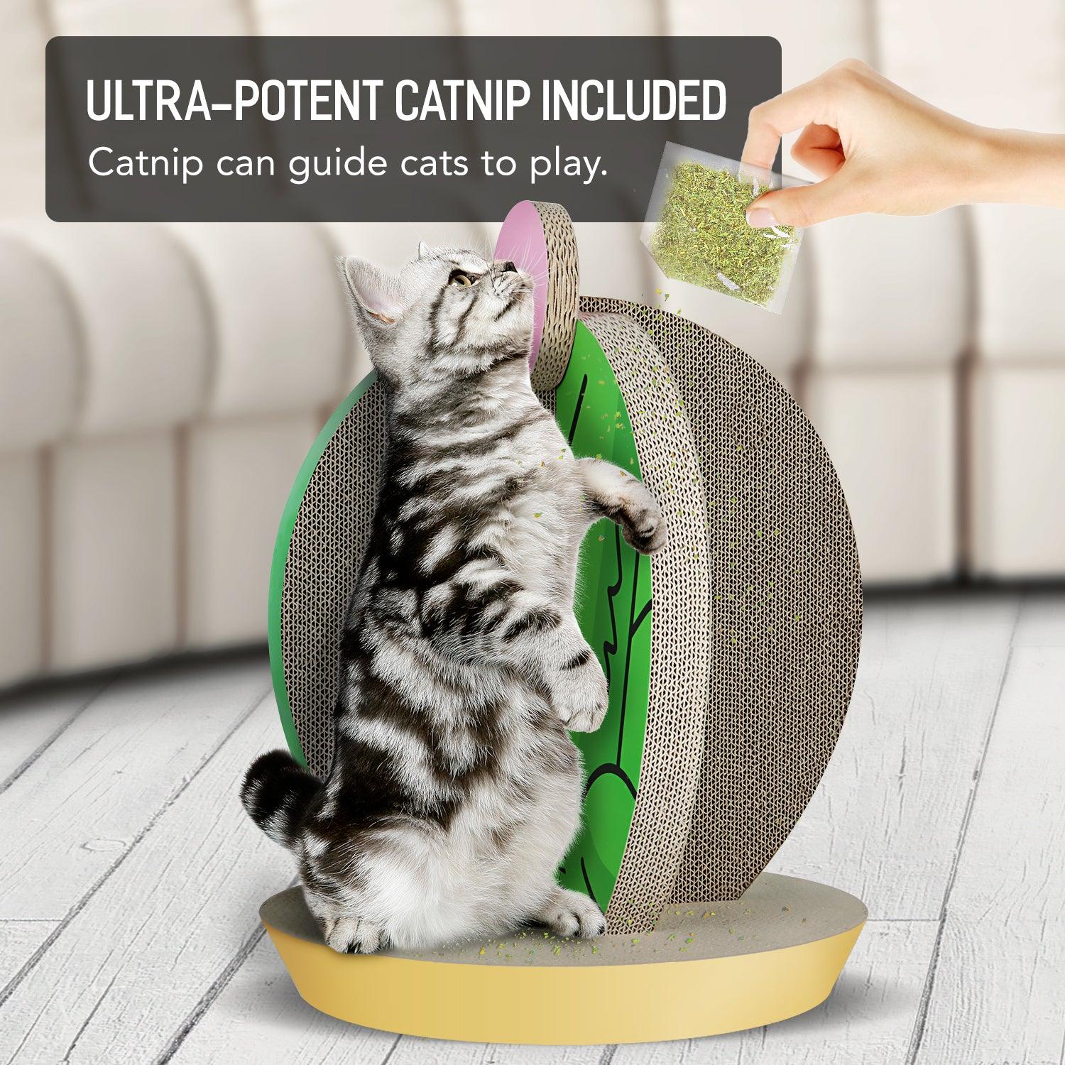 Cactus-Shaped Cat Scratching Post - 15x15x19.29 Inch Cardboard Cat Condo & Scratcher for Indoor Cats | Perfect for Playtime, Scratching & Climbing