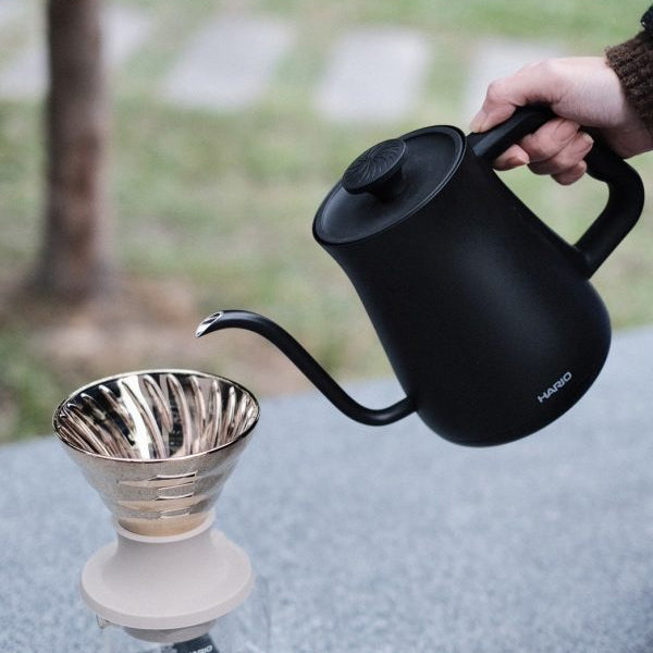 Hario Alpha Electric Kettle - Fast Boiling, Temperature Control, Stainless Steel - Perfect for Coffee, Tea & Home Brewing