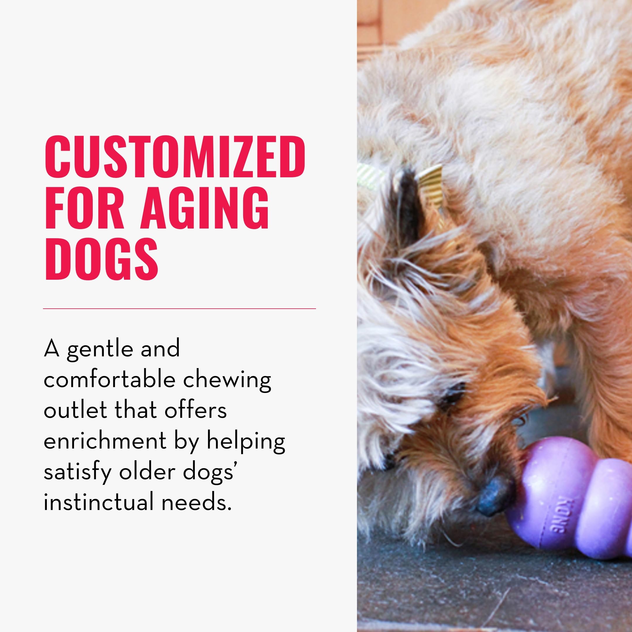 KONG Senior Dog Toy - Durable Natural Rubber Chew Toy for Older & Large Dogs - Treat Dispensing & Stuffable for Chewing, Fetching - Perfect for Senior Dog Playtime & Dental Health