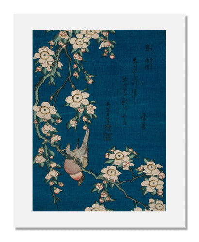 Katsushika Hokusai Bullfinch and Weeping Cherry Print - Japanese Ukiyo-e Art Reproduction - Small Flowers Series - Perfect for Home Decor & Art Collectors