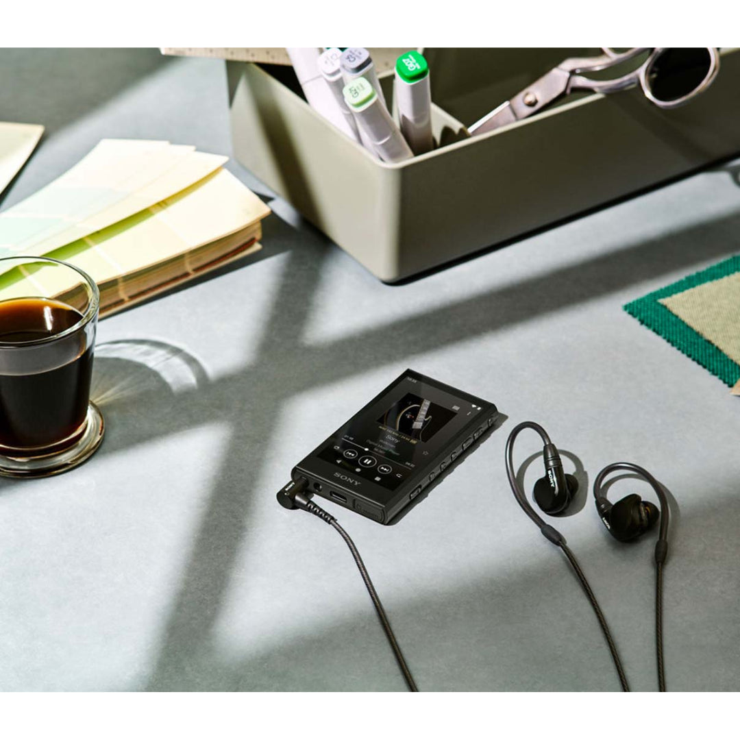 Sony NW-A306 Walkman A Series Hi-Res Digital Music Player - Portable High-Resolution Audio for Commuting, Travel & Workout