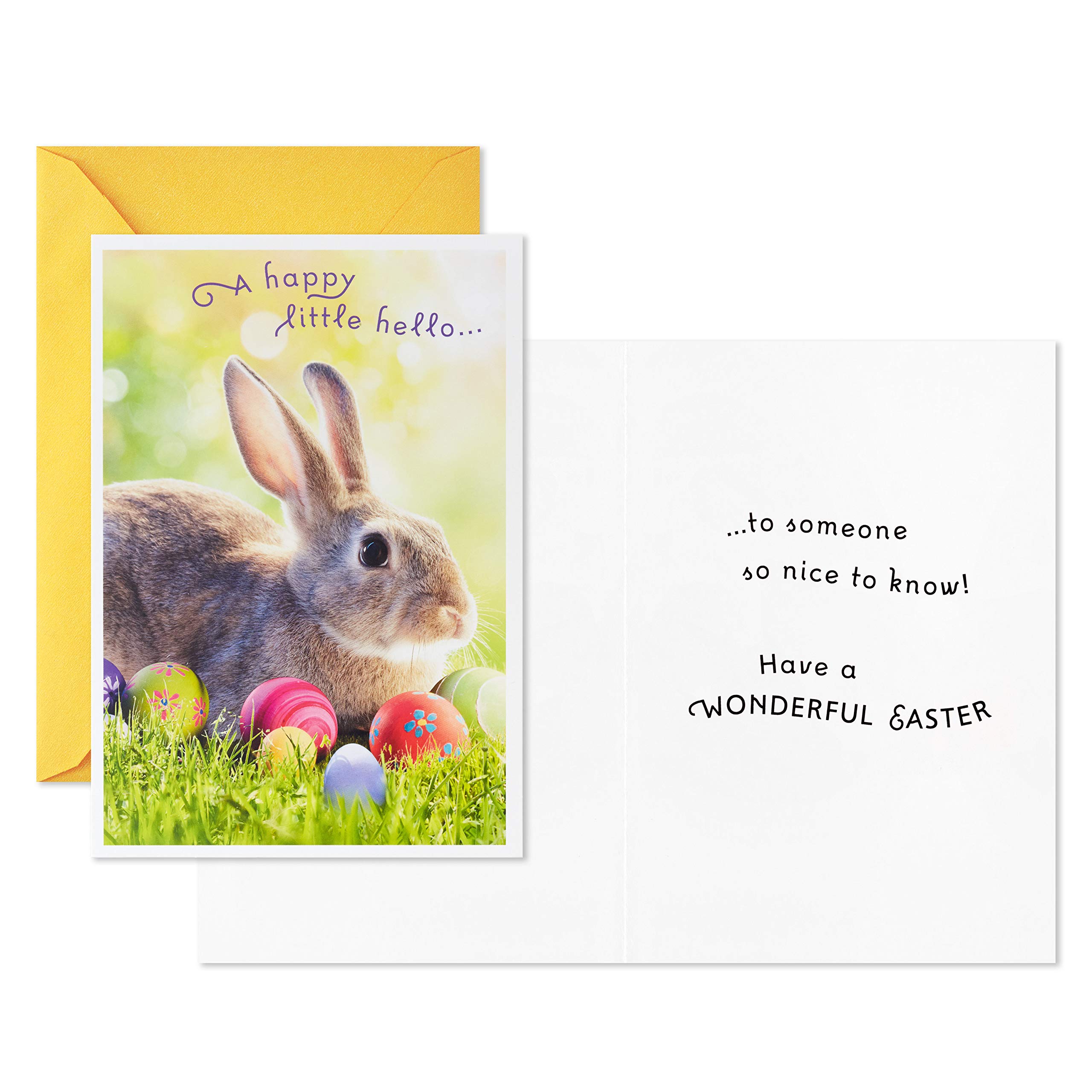 Hallmark Easter Greeting Cards Assortment - 8 Fuzzy Wishes Spring Cards with Envelopes for Easter Celebrations, Family Gatherings & Church Events