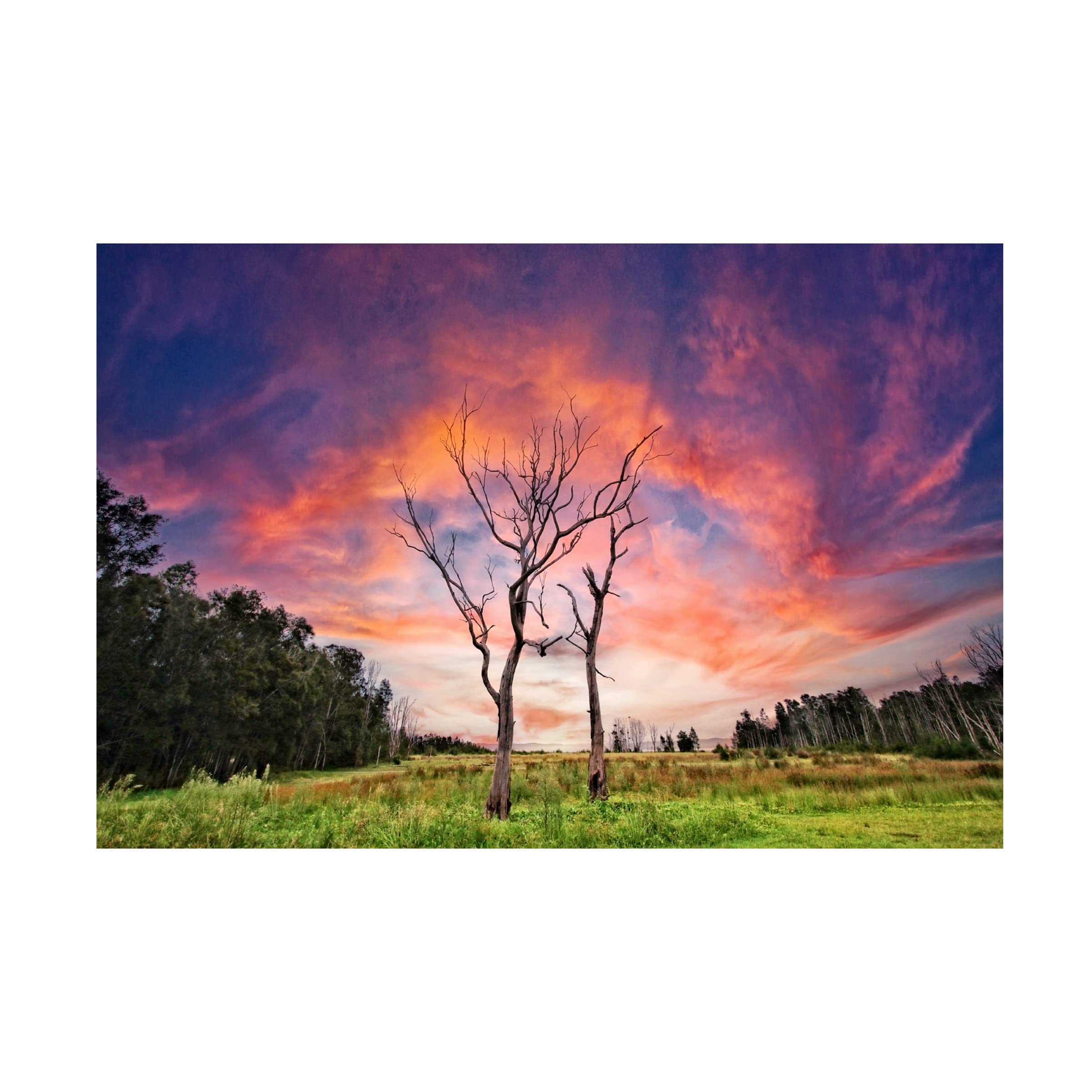 Trademark Fine Art 'Growing Old Together' Romantic Couple Canvas Wall Art Print by Beata Czyzowska Young - Perfect for Living Room, Bedroom Decor & Anniversary Gifts