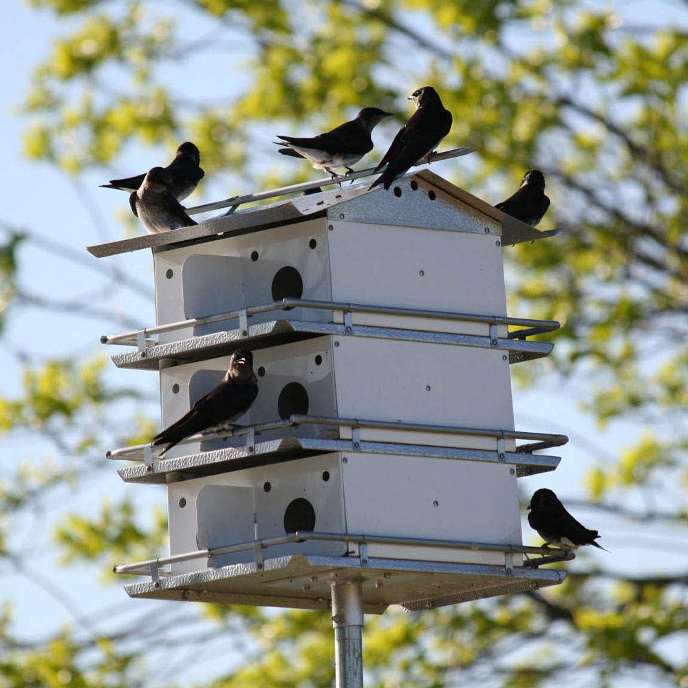 Purple Martin Bird House by Birds Choice - Coates Original 3-Story Design with 12 Rooms, Easy Assembly, Medium Size, White/Grey - Perfect for Backyard Bird Watching & Nature Lovers