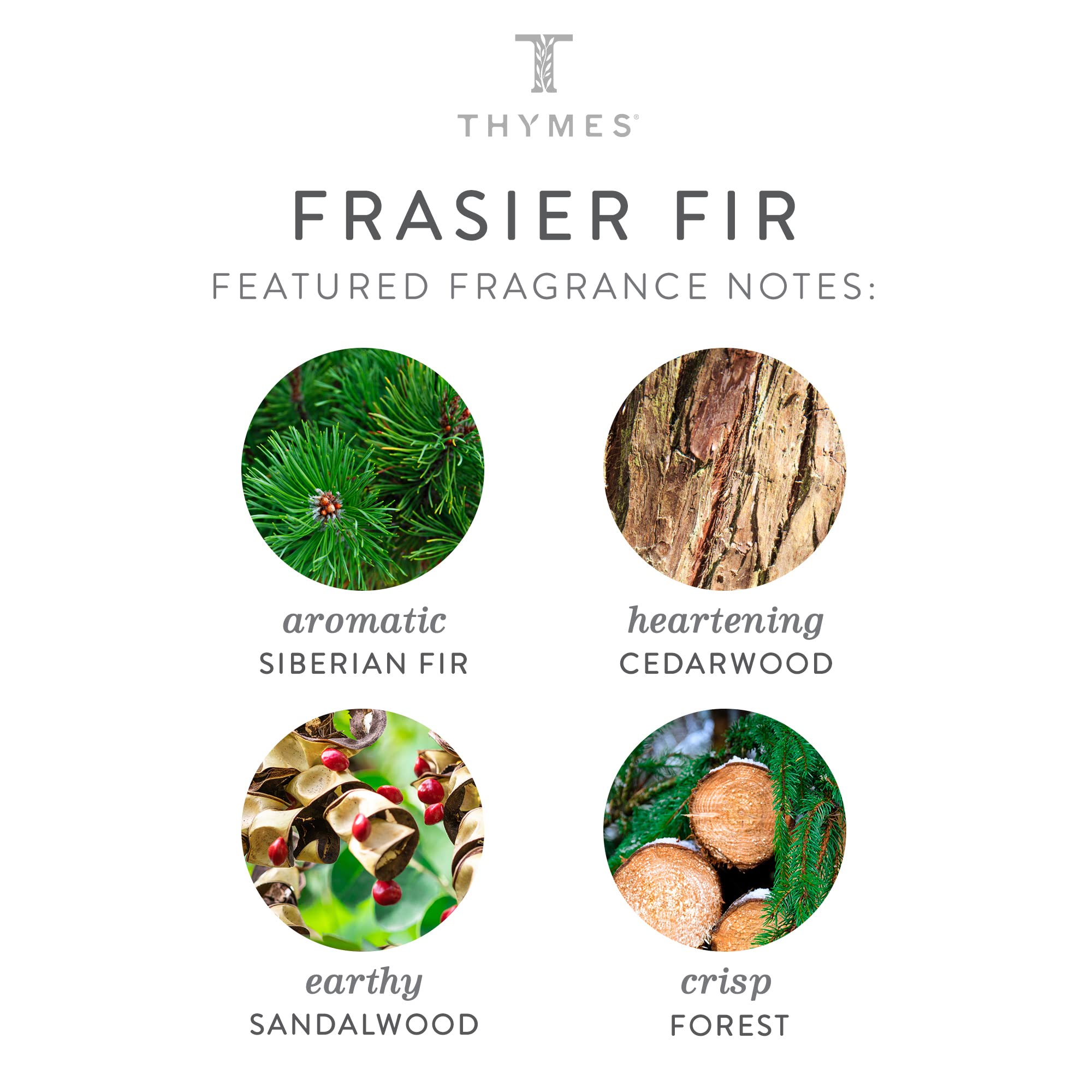 Thymes Frasier Fir Scented Candle - Large 4 Wick (40 oz) - Siberian Fir, Cedarwood & Sandalwood Aroma - Silver Pine Needle Design Home Decor - Perfect for Christmas, Cozy Evenings & Aromatherapy