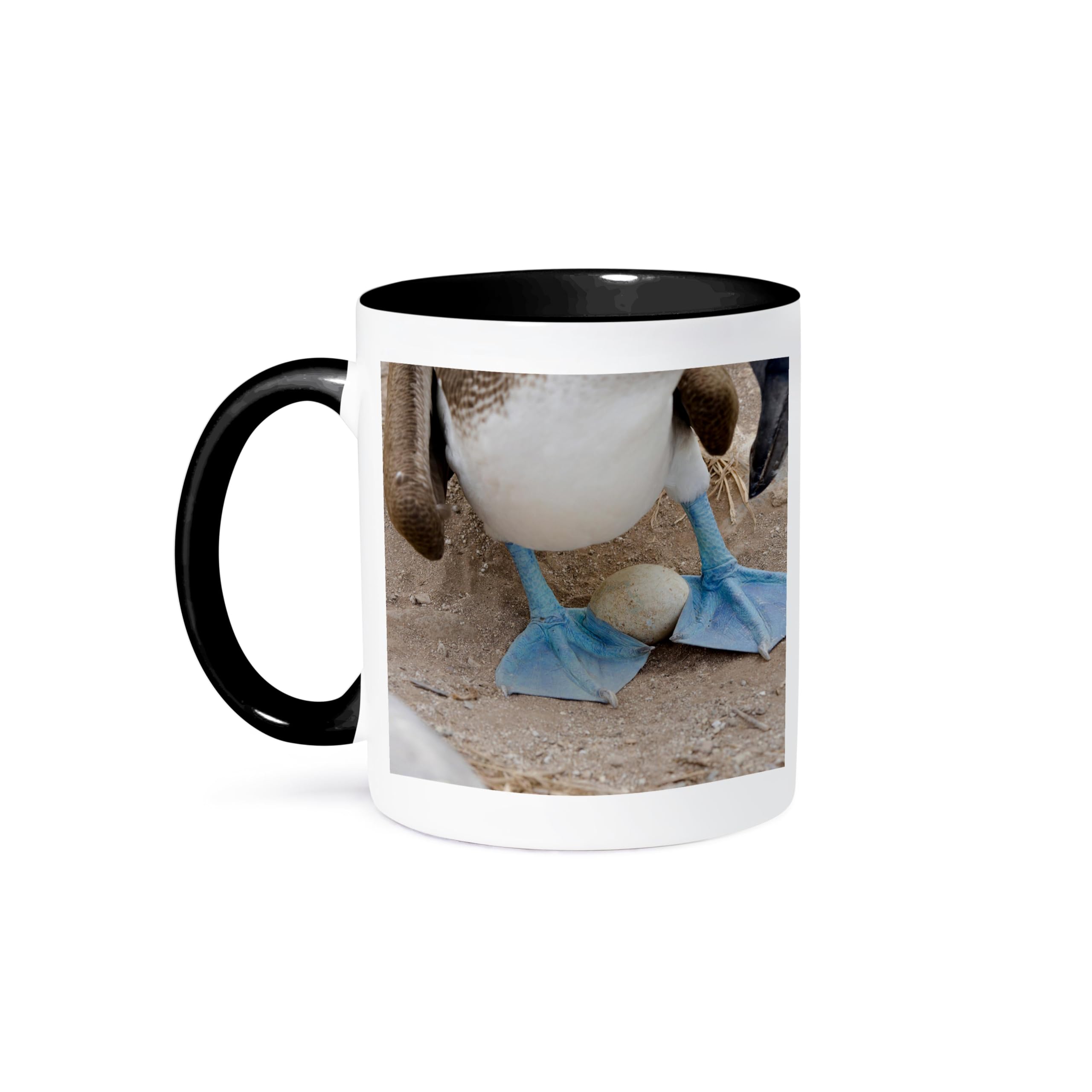 3D Printed Blue-Footed Booby Galapagos Mug - 11oz Two-Tone Ceramic Coffee Cup with Ecuadorian Wildlife Design - Perfect for Nature Lovers, Birdwatchers & Travel Enthusiasts - Great Gift for Home, Office or Outdoor Use