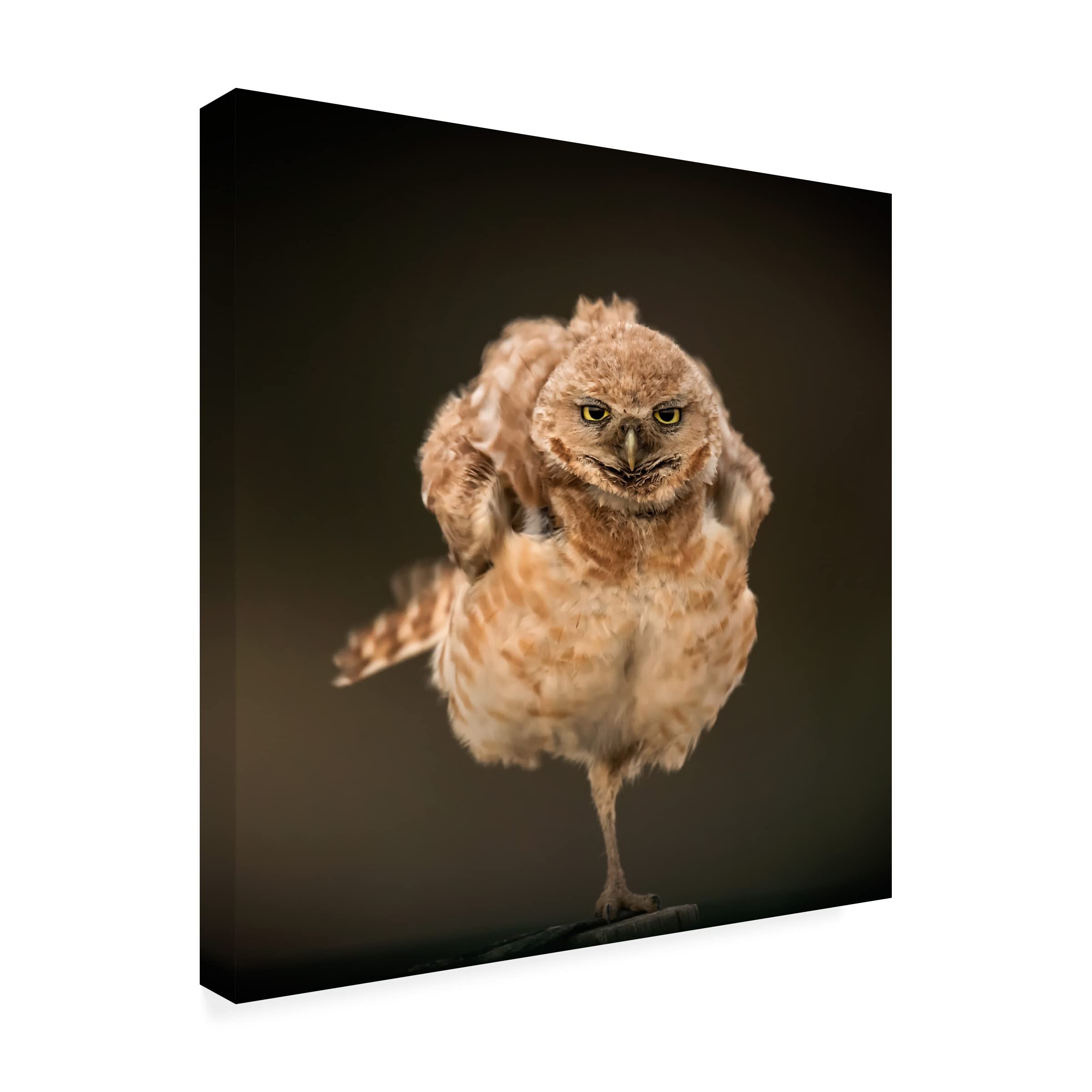 Trademark Fine Art 'The Stare' Canvas Wall Art by David H Yang - Modern Home Decor for Living Room & Office