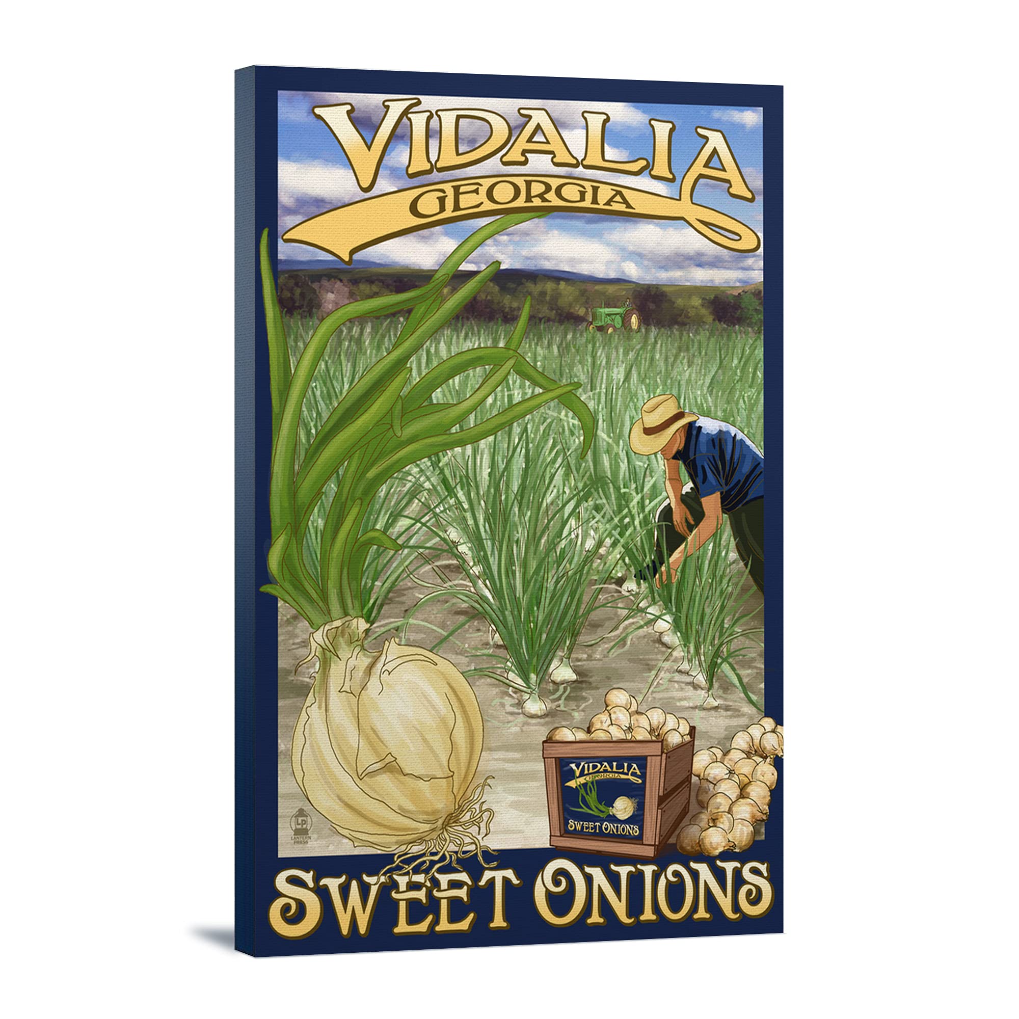 Vidalia Georgia Onion Field Wall Art - 16x24 Wrapped Canvas Print - Rustic Farmhouse Decor for Living Room, Kitchen & Office
