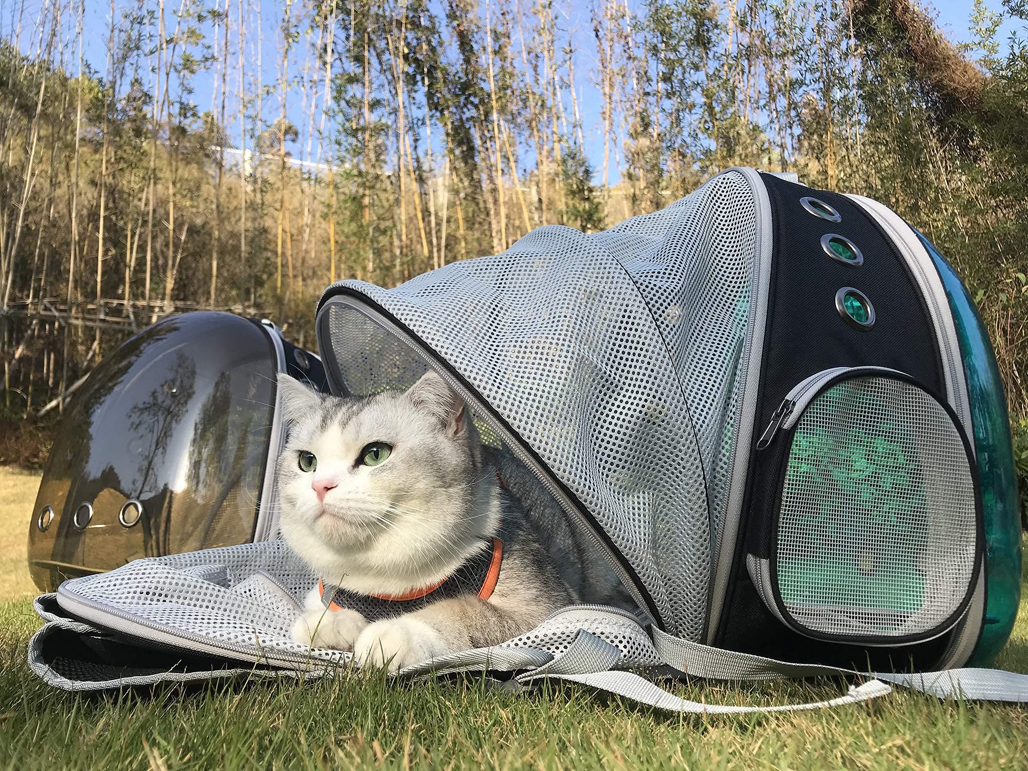 Expandable Cat Backpack Carrier for Small Pets - Fits Up to 12 lbs, Space Capsule Design with Polarized Bubble Window - Perfect for Travel, Hiking & Vet Visits