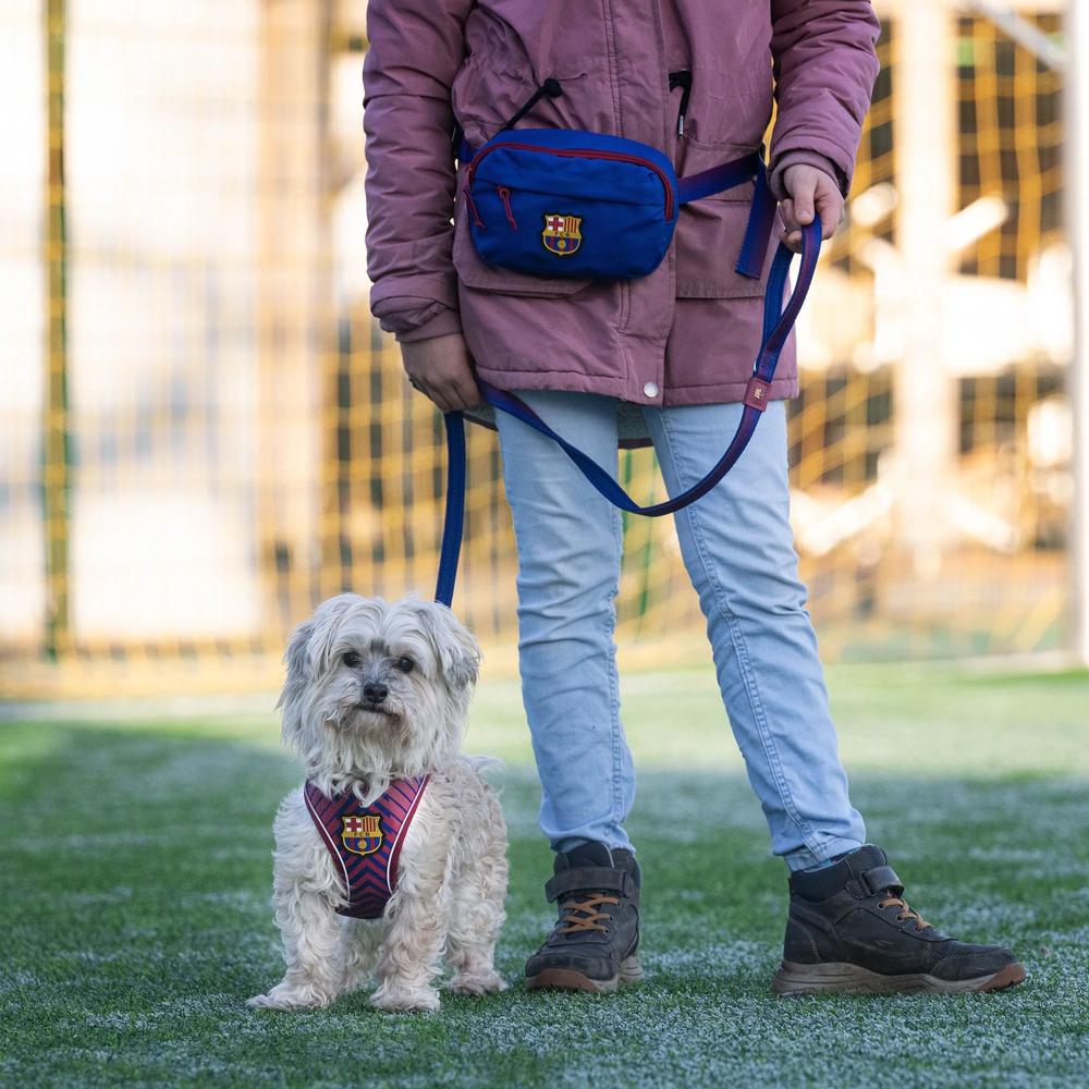 Premium Barcelona Dog Training Bag - Durable & Waterproof for Obedience & Agility Training - Perfect for Outdoor Adventures & Pet Sports