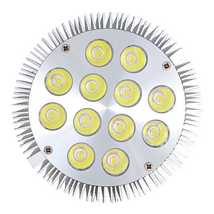 12W (12x1W) PAR38 LED Bulb with E26/E27 Base - 90W Halogen Equivalent - 100-240V AC - Silver Housing - Indoor Use for Recessed Lighting, Track Lights, and Display Cases