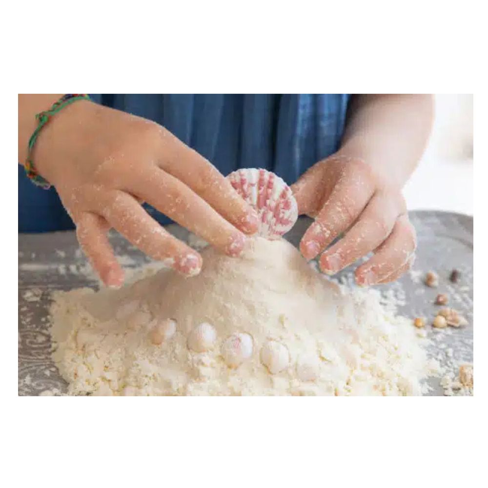 LOLA Sea Shells Collection - Natural Seashells for Beach Decor, Crafts, and Home Décor | Perfect for DIY Projects, Wedding Centerpieces, and Coastal-Themed Gifts