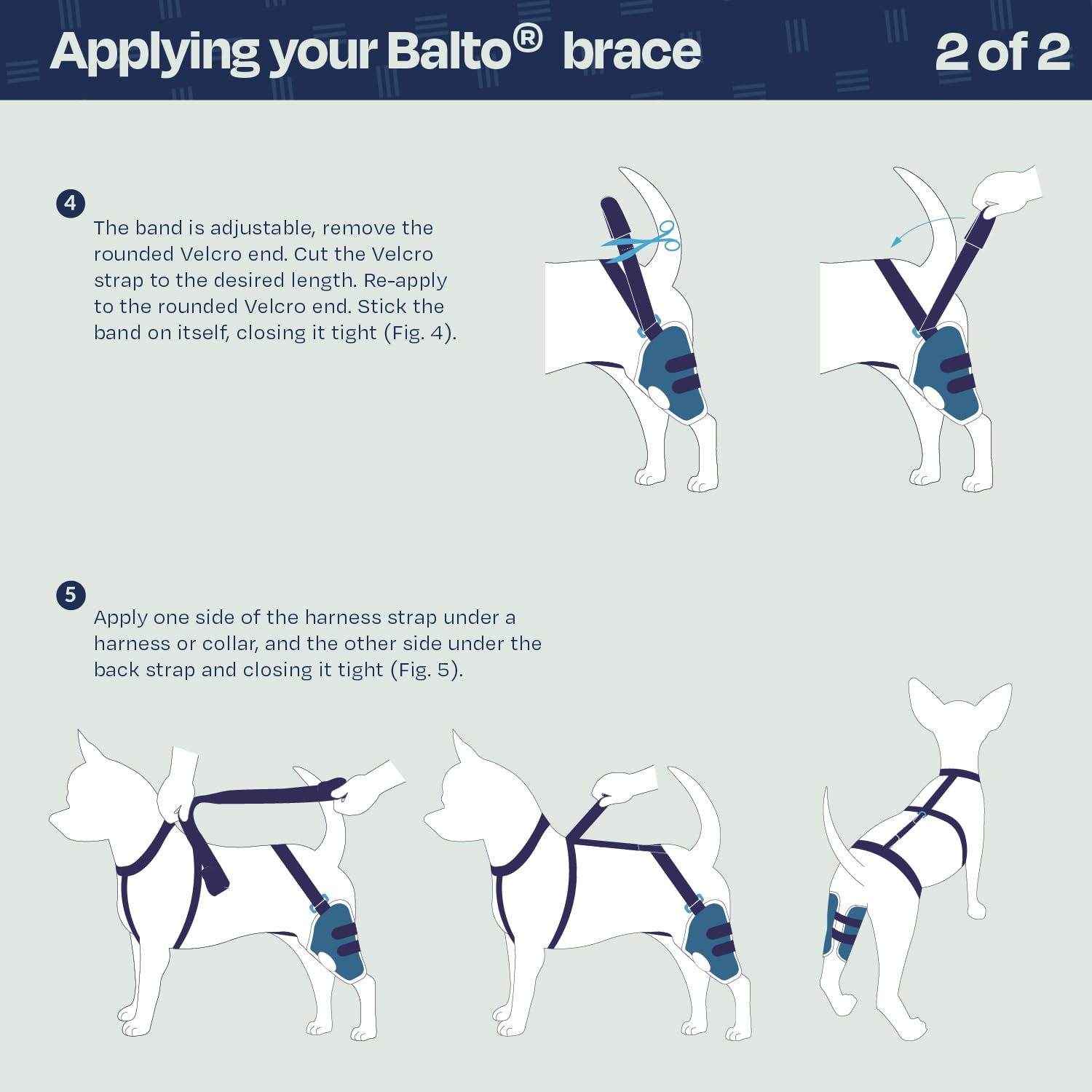 Balto Jump CCL Brace for Dogs – Adjustable Knee Support with Aluminum Splints – Pre & Post-Surgery Recovery Aid – Prevents Reinjury – Left Leg, XXS – Ideal for Active Dogs & Post-Op Care