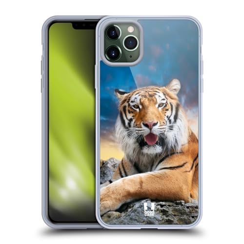 Tiger Sky Background