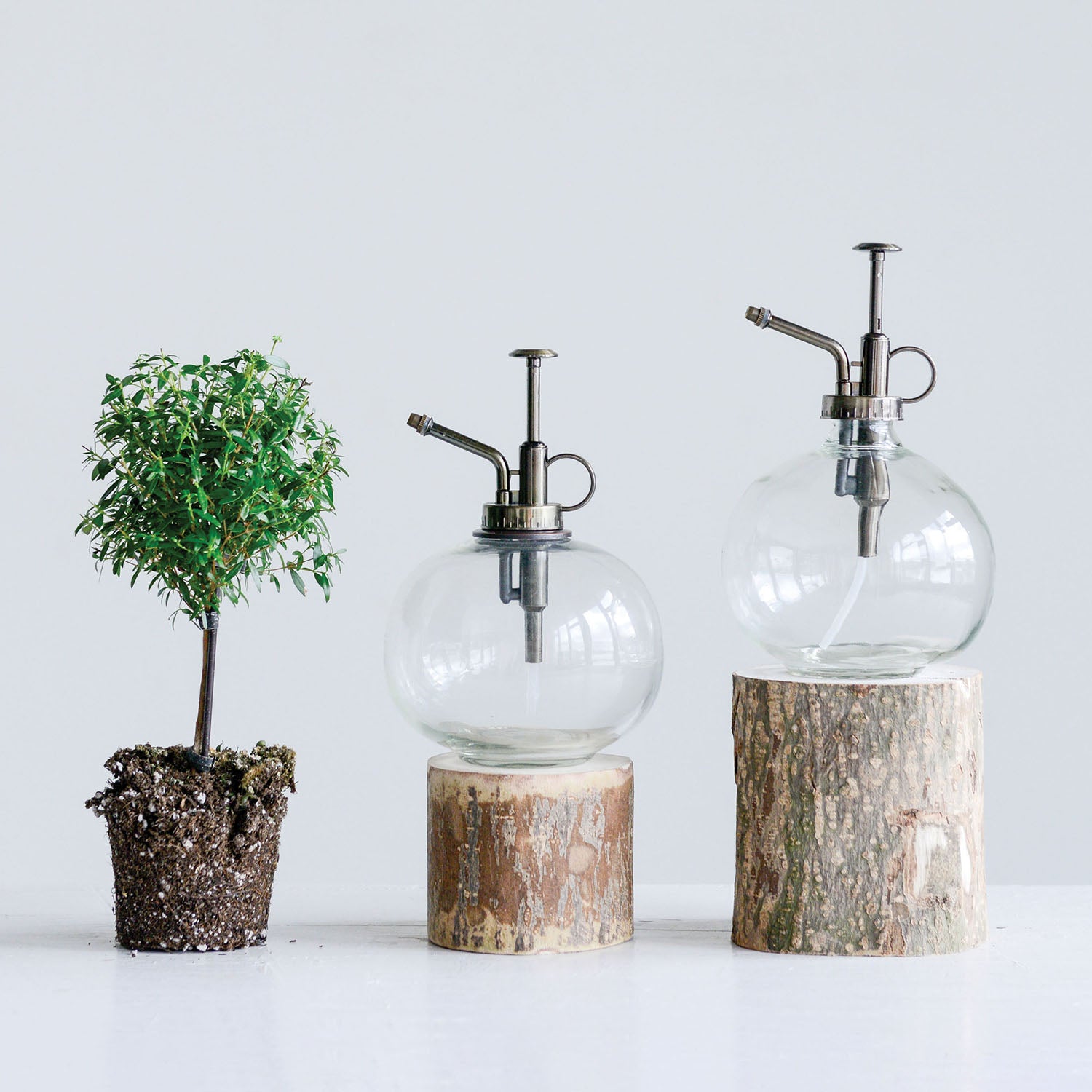 Premium Glass Plant Mister - Handheld Water Spray Bottle for Indoor Plants, Succulents, and Herbs | Perfect for Hydration, Cleaning Leaves, and Creating Humidity | Elegant Home & Office Decor