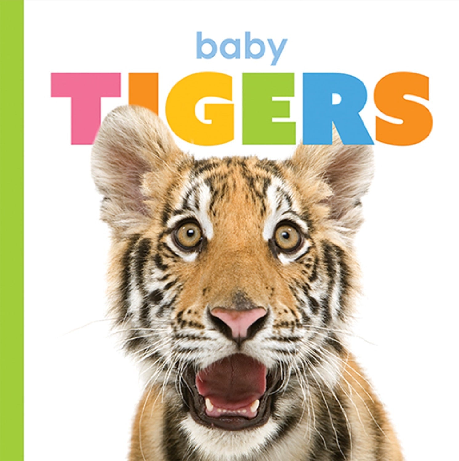 Baby Tigers Book ISBN 9781640262522 - Fun and Educational Animal Story for Kids, Perfect for Bedtime Reading and Early Learning