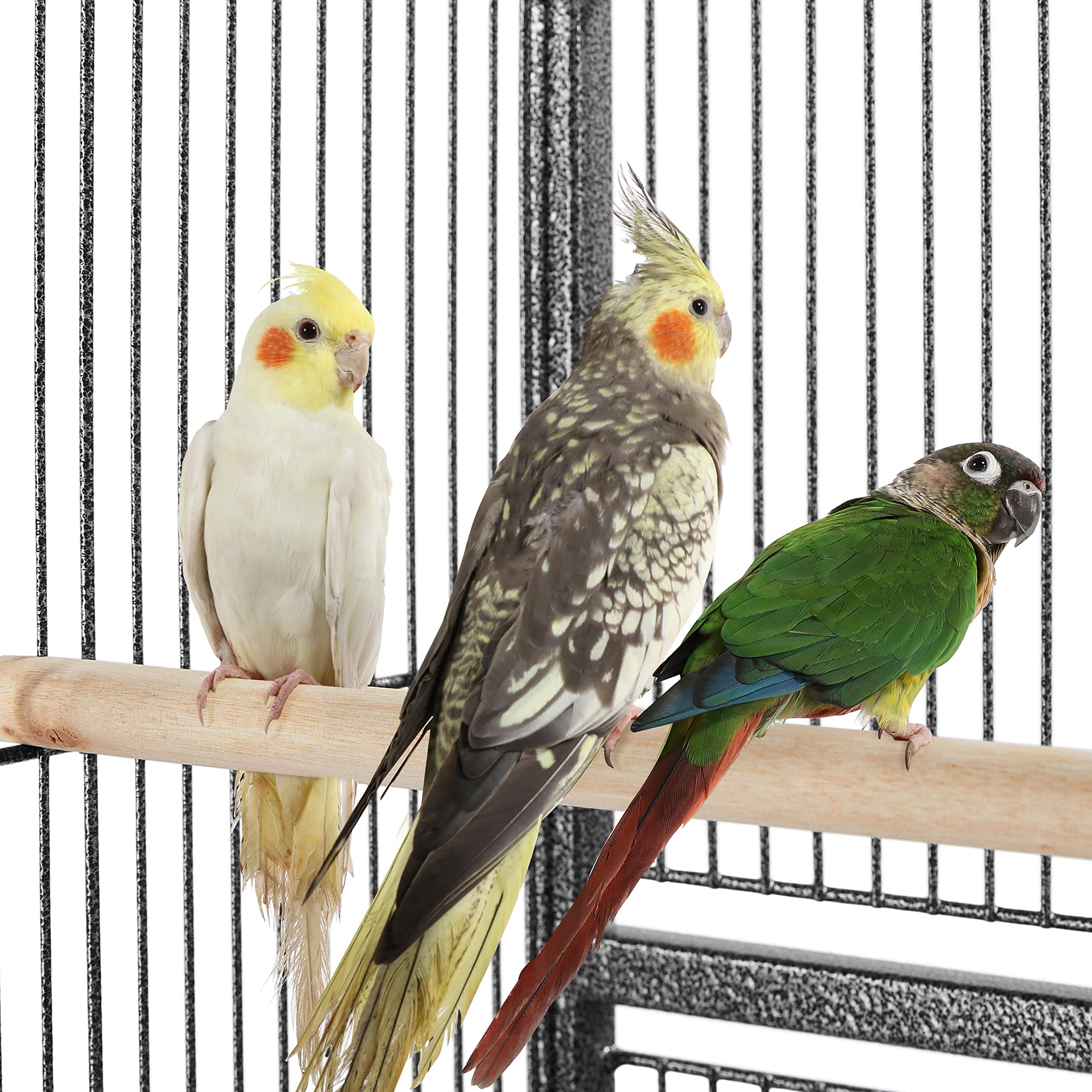 Topeakmart 53.7-inch Wrought Iron Bird Cage with Stand - Large Aviary for Parrots, Cockatiels, Conures, Parakeets, Budgies & Finches | Perfect for Home, Garden or Pet Store Display