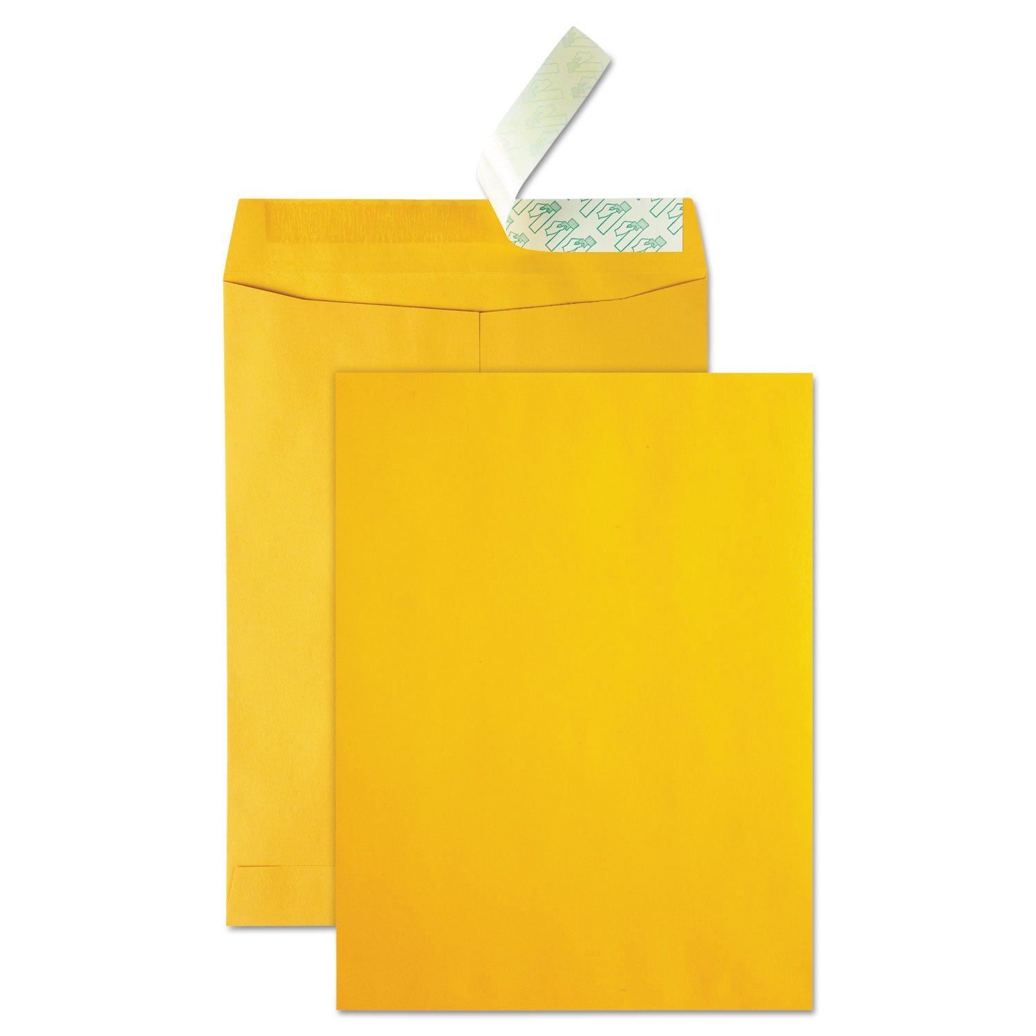 Quality Park 41620 Redi-Strip Catalog Envelopes - 10x13 Inches, High Bulk Capacity, Pack of 250 - Perfect for Mailing Catalogs, Brochures & Large Documents | Office & Business Mailing Supplies