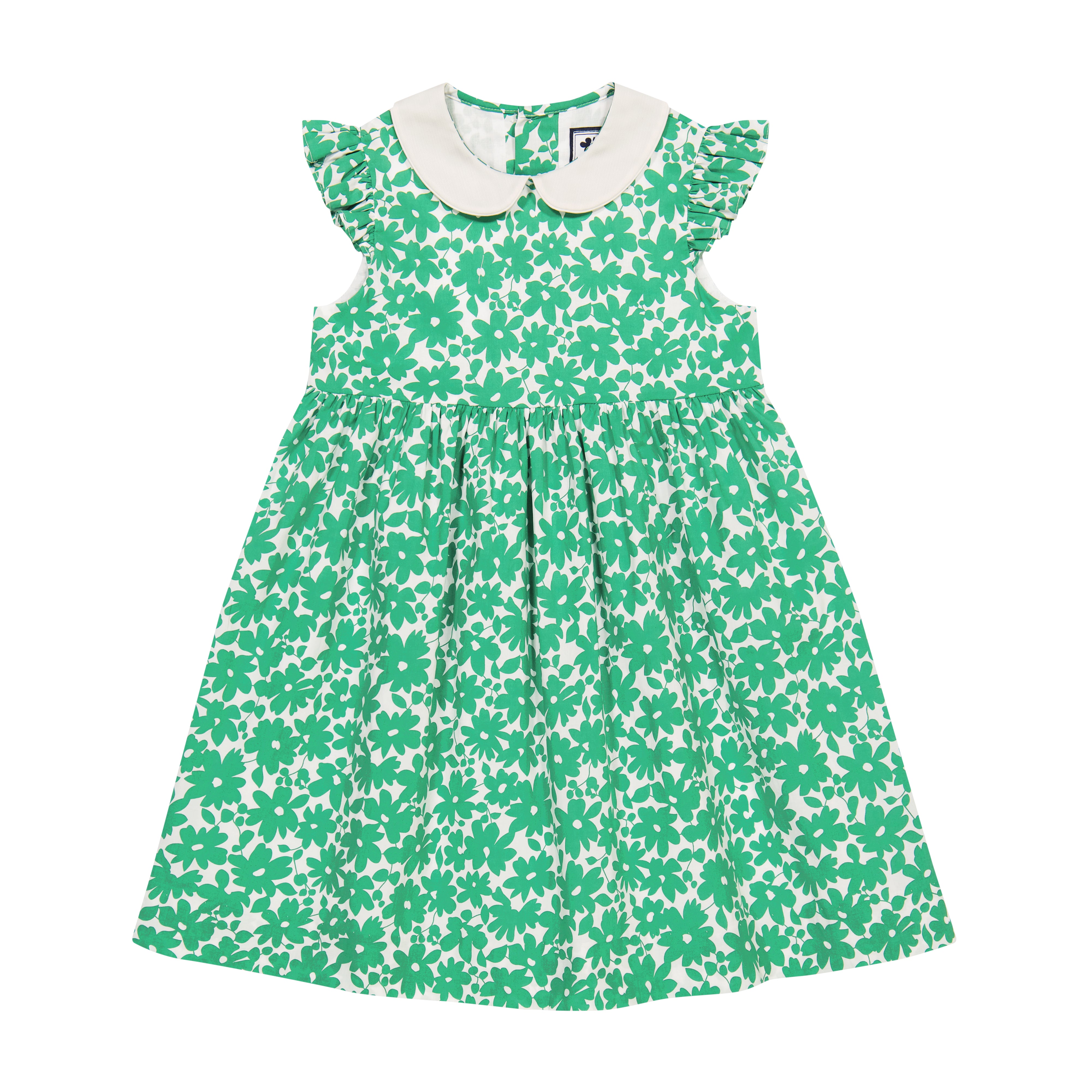 Riley Peter Pan Collar Floral Dress for Women - Green Poppy Print A-Line Swing Dress for Spring Summer, Office Wear & Casual Outings