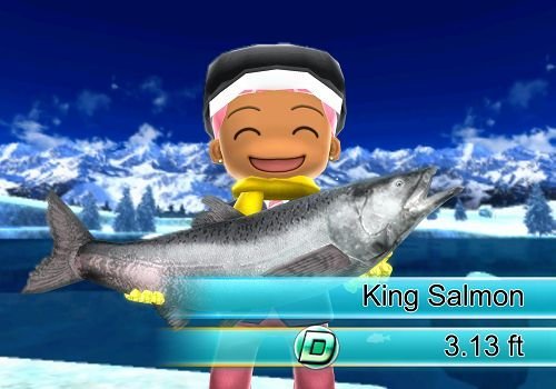 Renewed Fishing Resort Game for Nintendo Wii - Fun Family Fishing Adventure, Perfect for Parties & Relaxation